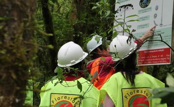 A atividade fez parte do encerramento do percurso do SCFV voltado à preservação do meio ambiente, enfatizando ainda o Dia da Árvore e o Dia do Engenheiro Florestal.