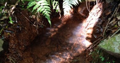 Programa água boa segue realizando proteções de fonte pelo município de Cerro Negro